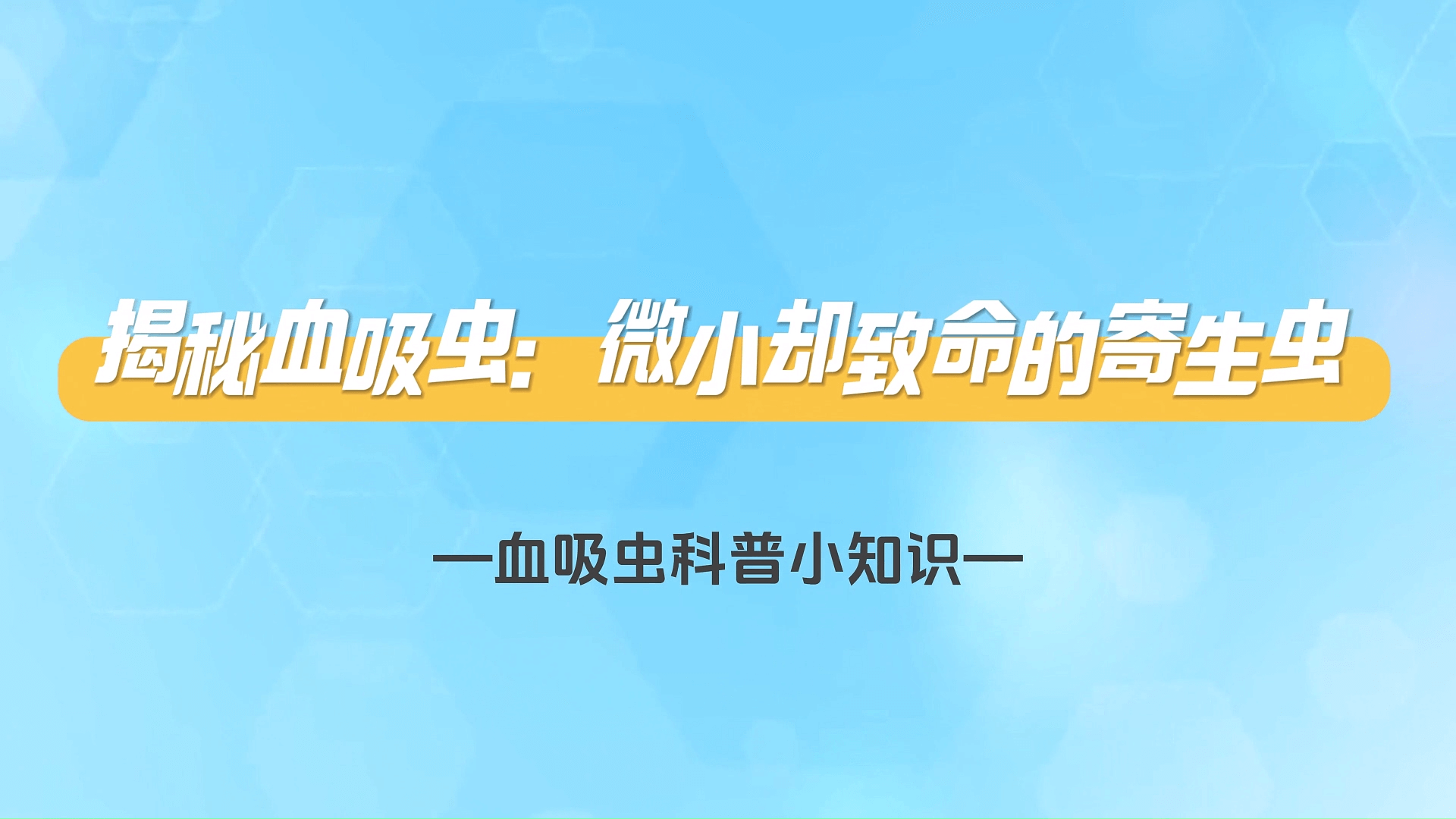 Ѫ���没+����Ѫ���棺΢Сȴ�����ļ�����